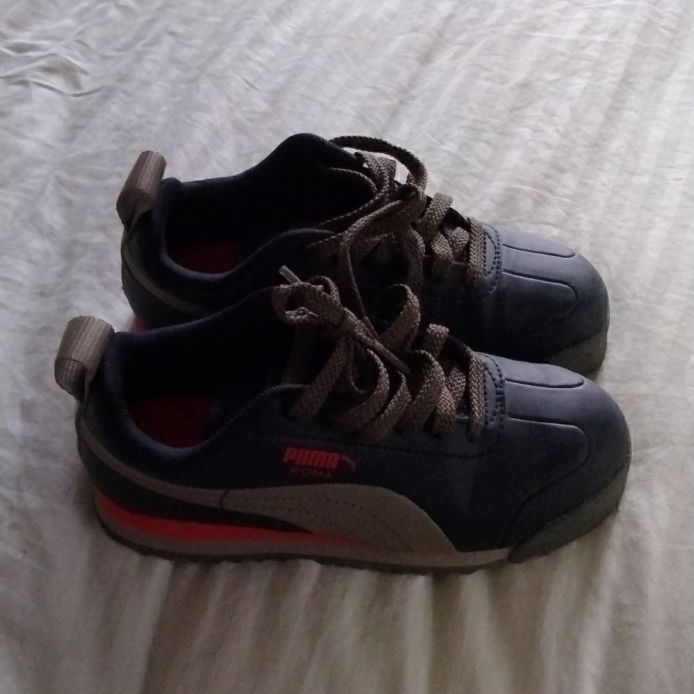 Puma    